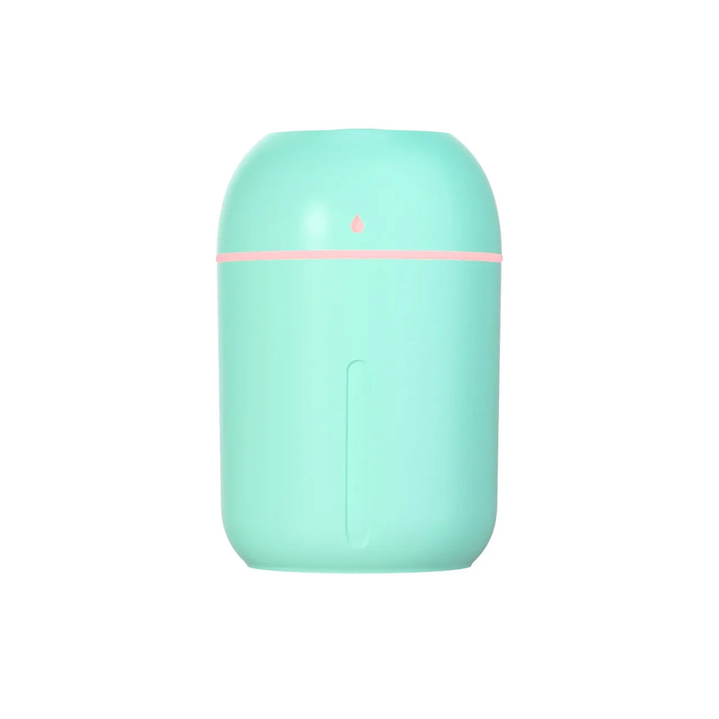 Mini USB Portable Air Humidifier, Aroma Diffuser, LED Cool Light, Mist for Room, Home, Car, Plant Purifier, 330ml