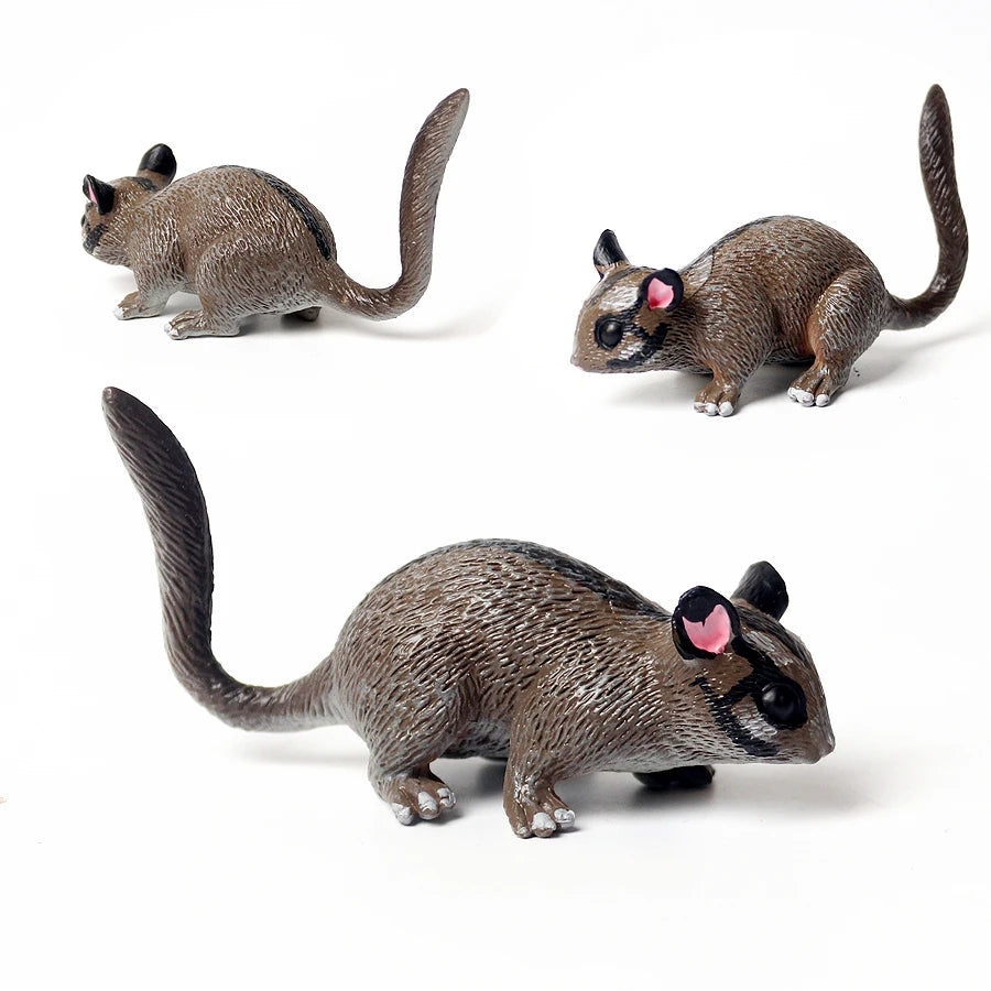 Realistic Sugar Glider Flying Squirrel Forest Animals Model Figures Wild Life Figurine Collection Fun Educational Marsupial Toy